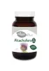 Imagen del producto 8422584031799