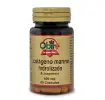 Imagen del producto 8435041341355