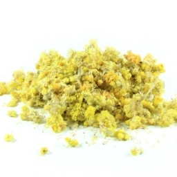 Imagen del producto 1438000002677
