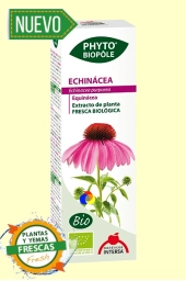 Imagen del producto 8413568020441