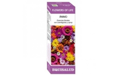 Imagen del producto 8436003029045
