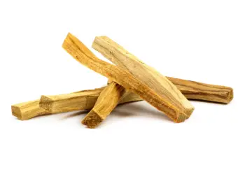 Imagen del producto 1000000055375