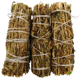 Imagen del producto 1029760000357