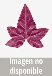 1438000131049