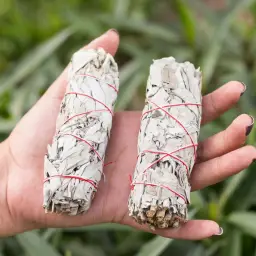 Imagen del producto 2536000004871