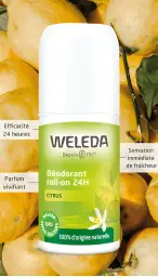 Imagen del producto 3401360104617