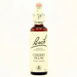 Imagen del producto 5000488103823