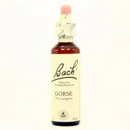 Imagen del producto 5000488103892