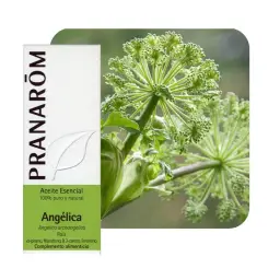 Imagen del producto 5420008500374