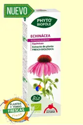 Imagen del producto 8413568020441