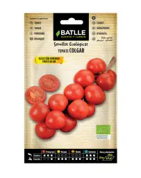 Imagen del producto 8414934004874