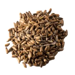 Imagen del producto 8427096780487