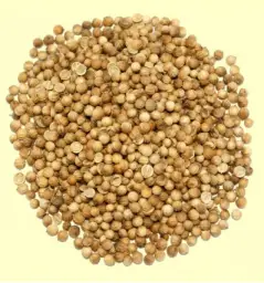 Imagen del producto 8435001011359