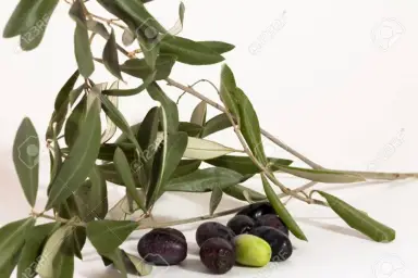 Imagen del producto 8435001013377