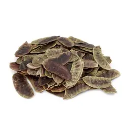 Imagen del producto 8435001014176