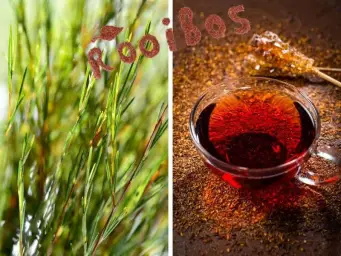 Imagen del producto 8435001015265