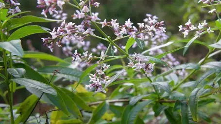 Imagen del producto 8435001015319