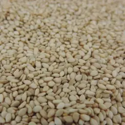 Imagen del producto 8436037960215