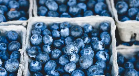 Imagen del producto 8437016376232