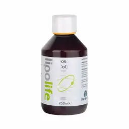 Imagen del producto 8437019410056