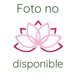 no_foto