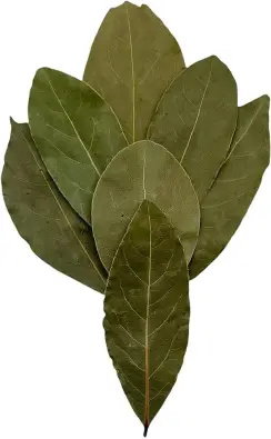 Imagen del producto 8270096181200