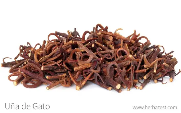 Imagen del producto 8427096782085