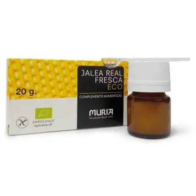 Imagen del producto 8431523106122