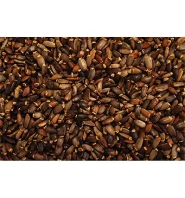 Imagen del producto 8435001011038