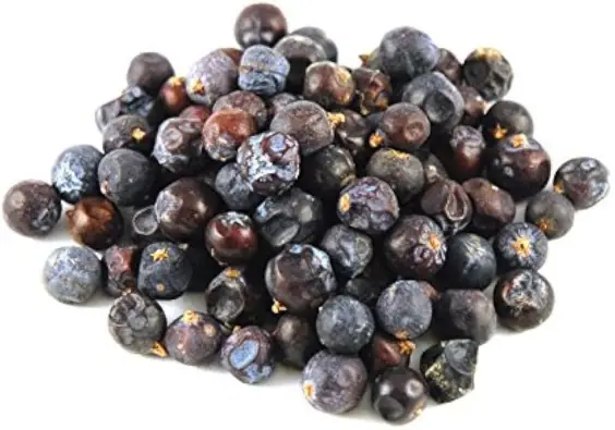 Imagen del producto 8435001011700