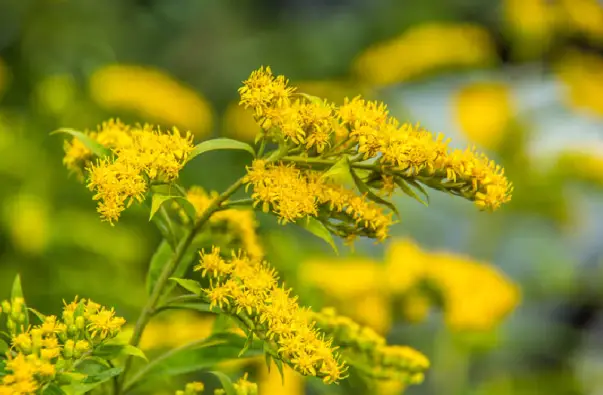 Imagen del producto 8435001014596