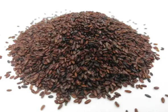 Imagen del producto 8435001014664