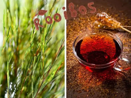 Imagen del producto 8435001015265