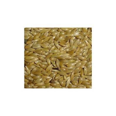 Imagen del producto 8435001018792