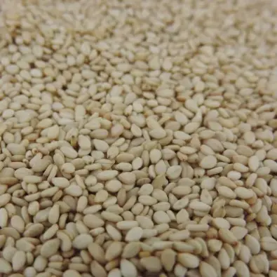 Imagen del producto 8436037960215