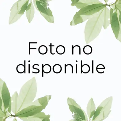 Imagen del producto 8436542040730