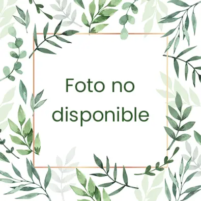 Imagen del producto 8437012636965