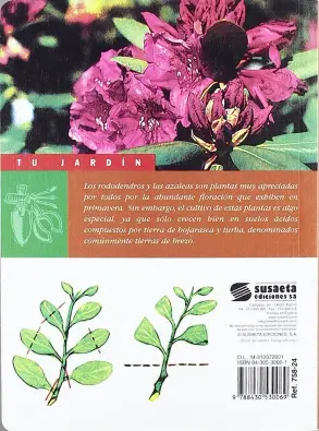 Imagen del producto 9788430530069