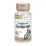 Imagen del producto  076280309348