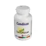 Imagen del producto  628747100786