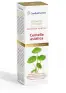 Imagen del producto  8413568006438
