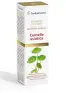 Imagen del producto  8413568006438