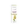 Imagen del producto  8413568008081