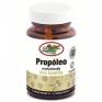 Imagen del producto 8422584031836