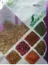 Imagen del producto  8422947020217