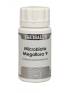 Imagen del producto 8436003026167