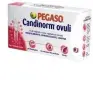 traducir('Foto del artÃ­culo'); 8470001536006