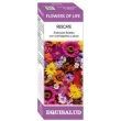 Imagen del producto 8436003029397