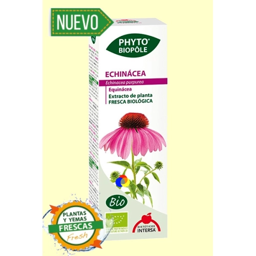 Imagen del producto 8413568020441